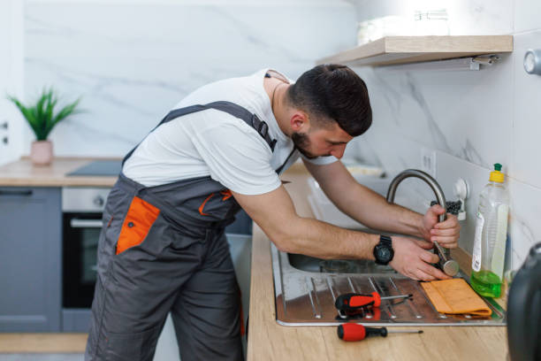 Best Clogged Drain Plumber  in Dansville, NY