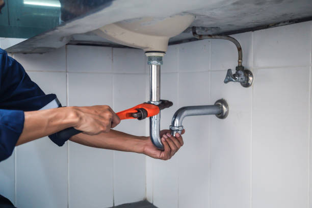  Dansville, NY Plumbing Pros