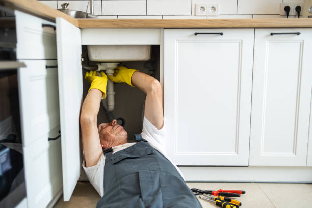 Best Sprinkler Systems  in Dansville, NY