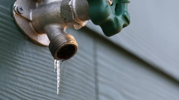 Best Leak Detection Services  in Dansville, NY