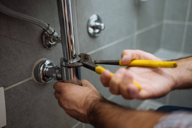 Best Same-Day Plumbing Service  in Dansville, NY