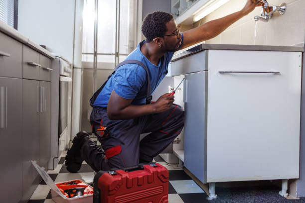 Best Commercial Plumbing Services  in Dansville, NY