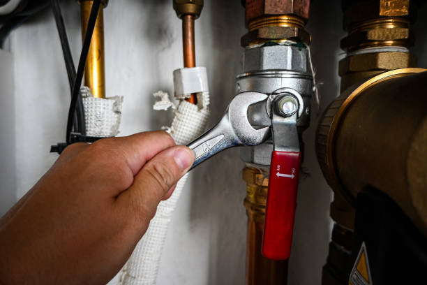 Best Affordable Plumbing Services  in Dansville, NY